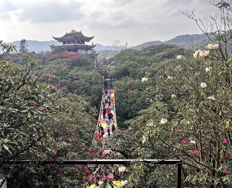 遵义旅游 1