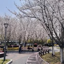 宁波旅游 缩略图 2