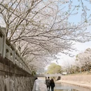 宁波旅游 缩略图 3