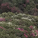 毕节旅游 缩略图 7