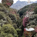 遵义旅游 缩略图 2