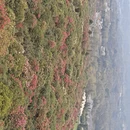 毕节旅游 缩略图 8