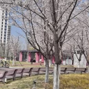 宁波旅游 缩略图 3
