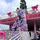 遵义旅游 缩略图 3
