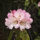 毕节旅游 缩略图 9