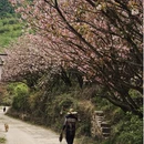 宁波旅游 缩略图 3