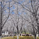 宁波旅游 缩略图 5