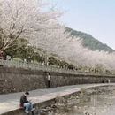 宁波旅游 缩略图 6