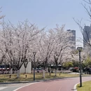 宁波旅游 缩略图 6