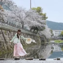 黄山旅游 缩略图 1