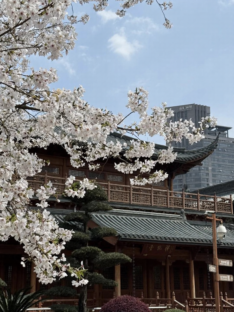 宁波旅游