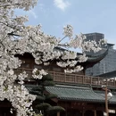 宁波旅游 缩略图 1