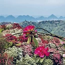 毕节旅游 缩略图 7
