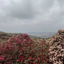 毕节旅游 缩略图 8