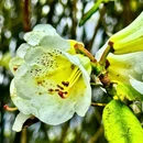 毕节旅游 缩略图 15