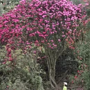 毕节旅游 缩略图 1