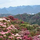 毕节旅游 缩略图 2
