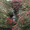 毕节旅游 缩略图 1