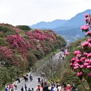 毕节旅游 缩略图 3