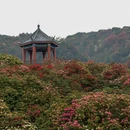 毕节旅游 缩略图 2