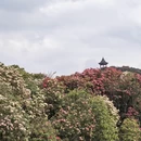 毕节旅游 缩略图 4