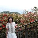 毕节旅游 缩略图 3