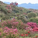毕节旅游 缩略图 6