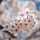 贵阳旅游 缩略图 2