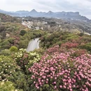 毕节旅游 缩略图 7