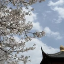 宁波旅游 缩略图 3