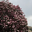 毕节旅游 缩略图 9