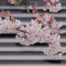 宁波旅游 缩略图 5