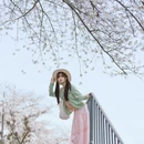 黄山旅游 缩略图 11