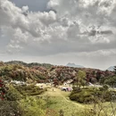 毕节旅游 缩略图 10