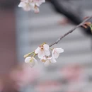 宁波旅游 缩略图 6