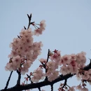 宁波旅游 缩略图 8