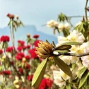 毕节旅游 缩略图 12