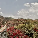 毕节旅游 缩略图 13