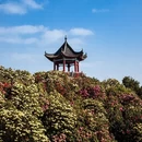 贵阳旅游 缩略图 3