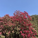 遵义旅游 缩略图 3