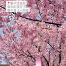 宁波旅游 缩略图 3