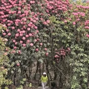 毕节旅游 缩略图 14