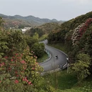 遵义旅游 缩略图 3