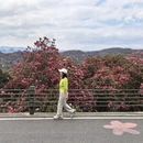 毕节旅游 缩略图 16