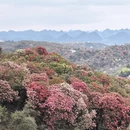 毕节旅游 缩略图 17