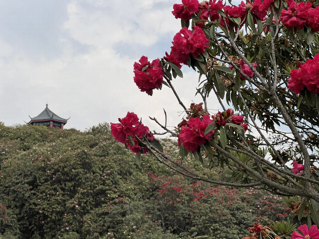 遵义旅游
