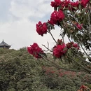 遵义旅游 缩略图 1