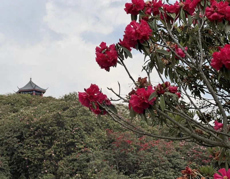 遵义旅游 1