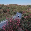 遵义旅游 缩略图 7