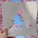 宁波旅游 缩略图 14